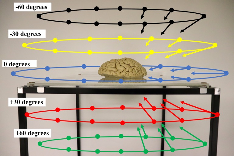 Fig 1