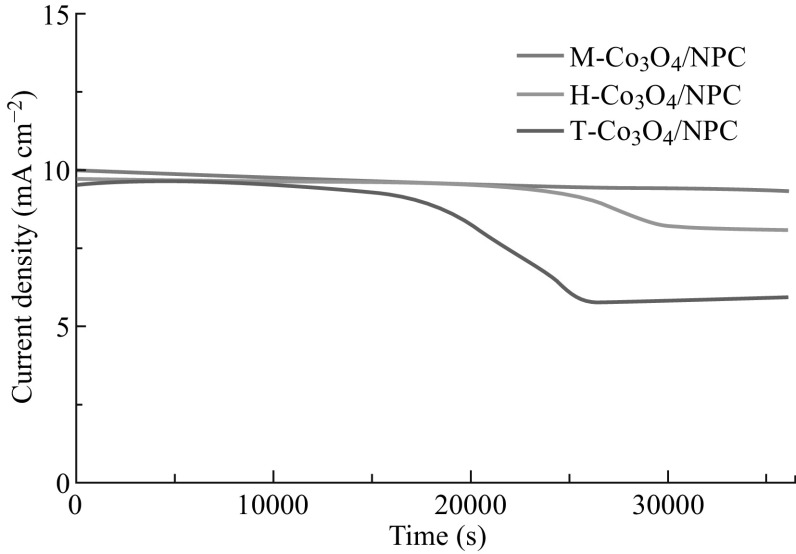 Fig. 10