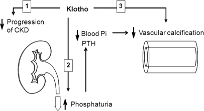 Figure 8.