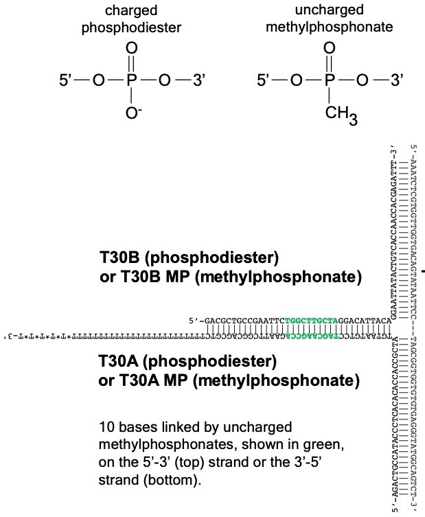 Figure 3—figure supplement 2.