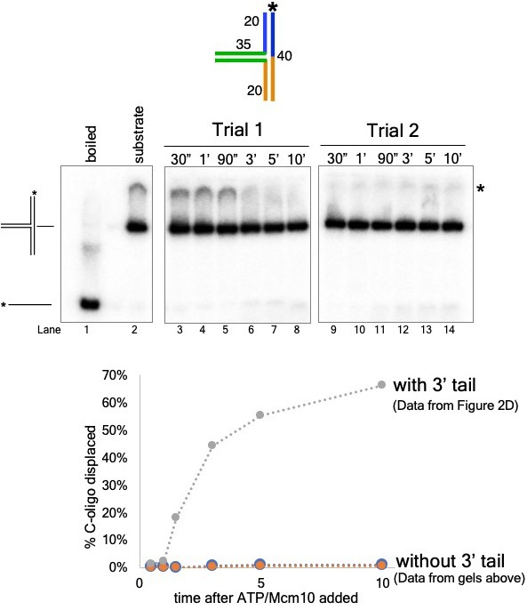 Figure 2—figure supplement 2.