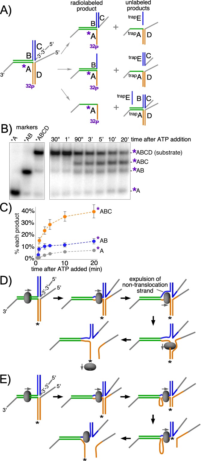 Figure 5.