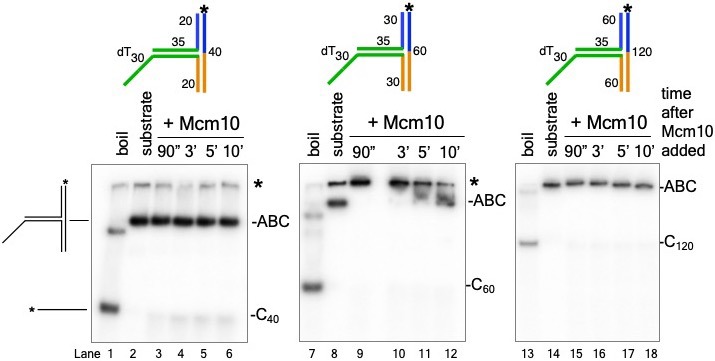 Figure 2—figure supplement 3.