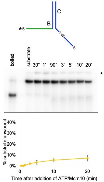 Figure 5—figure supplement 2.