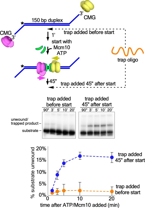 Figure 4—figure supplement 1.