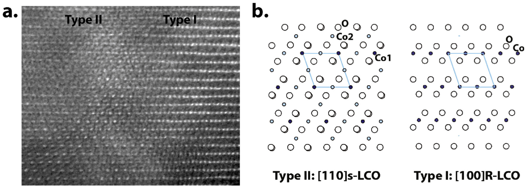 Fig. 11.