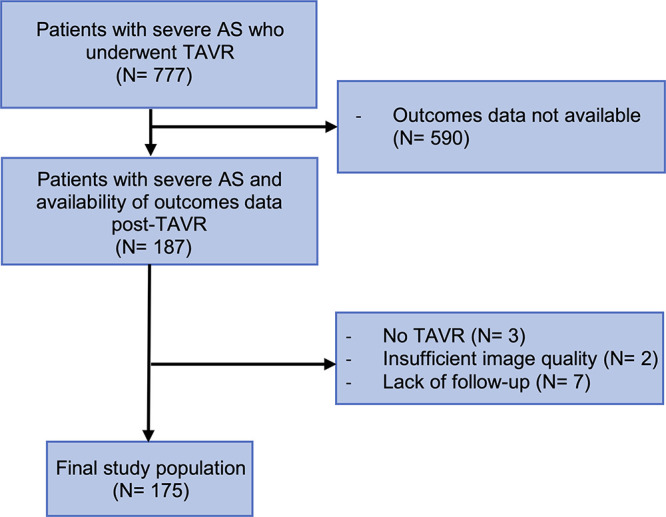 Inclusion flowchart. AS = aortic stenosis, TAVR = transcatheter aortic valve replacement.