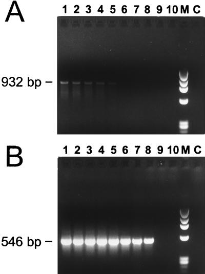 FIG. 5