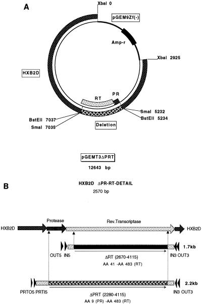 FIG. 1