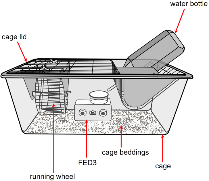 Figure 2