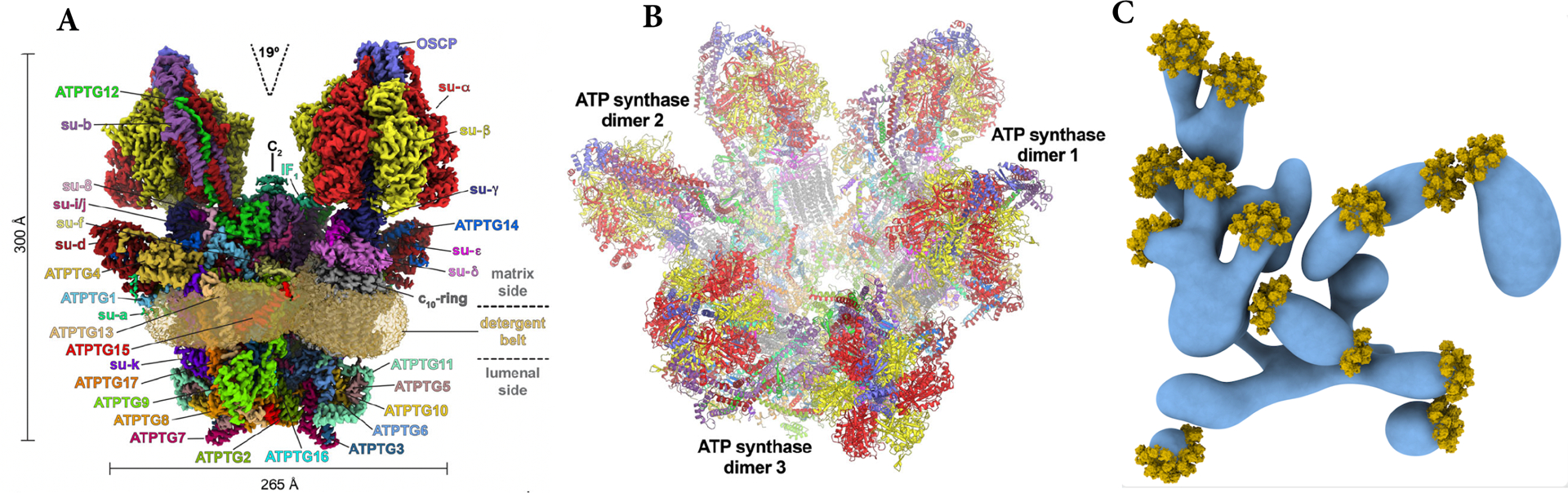 Figure 4.