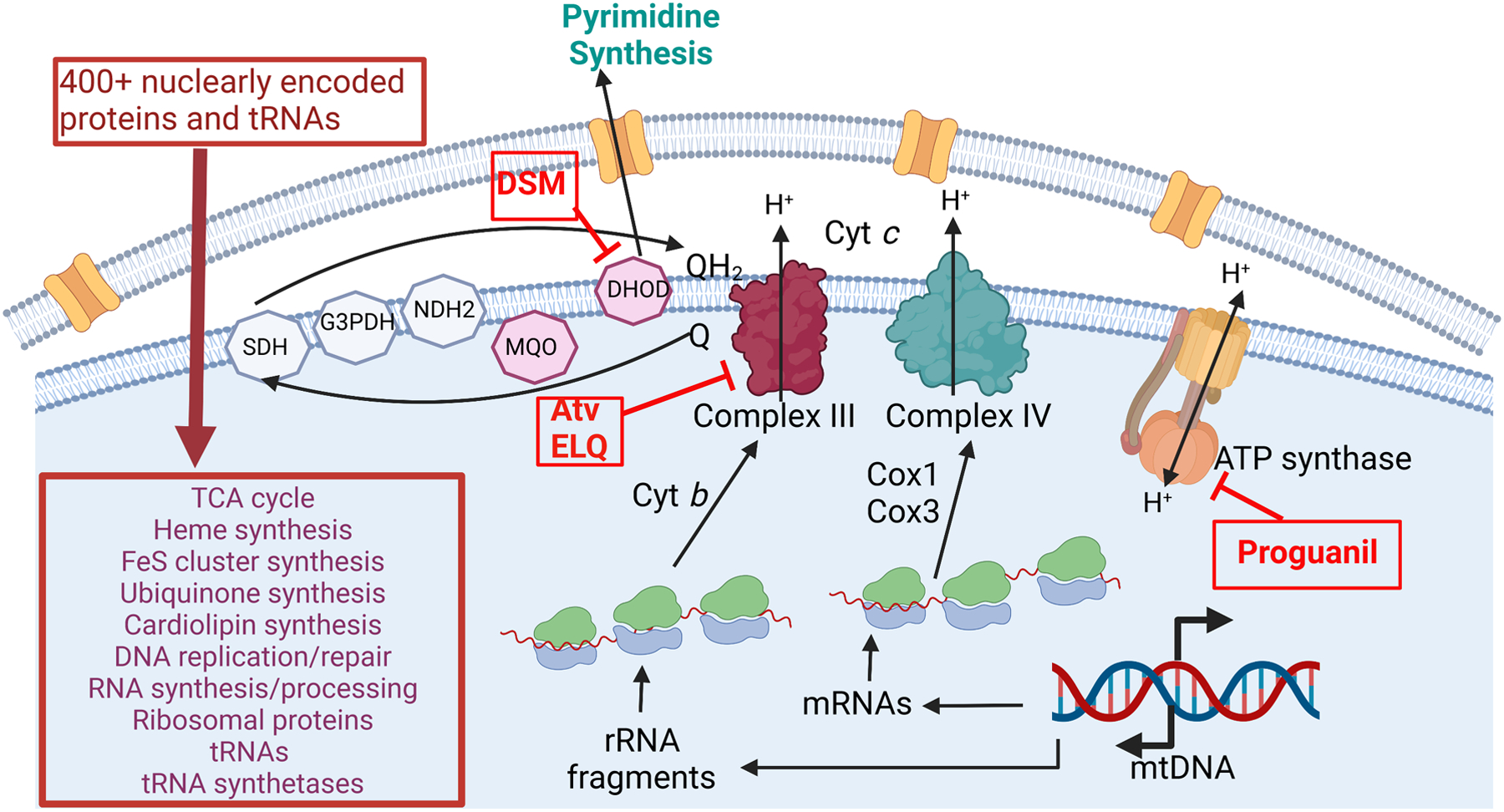 Figure 3.