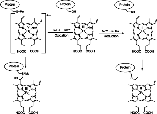 Scheme 1