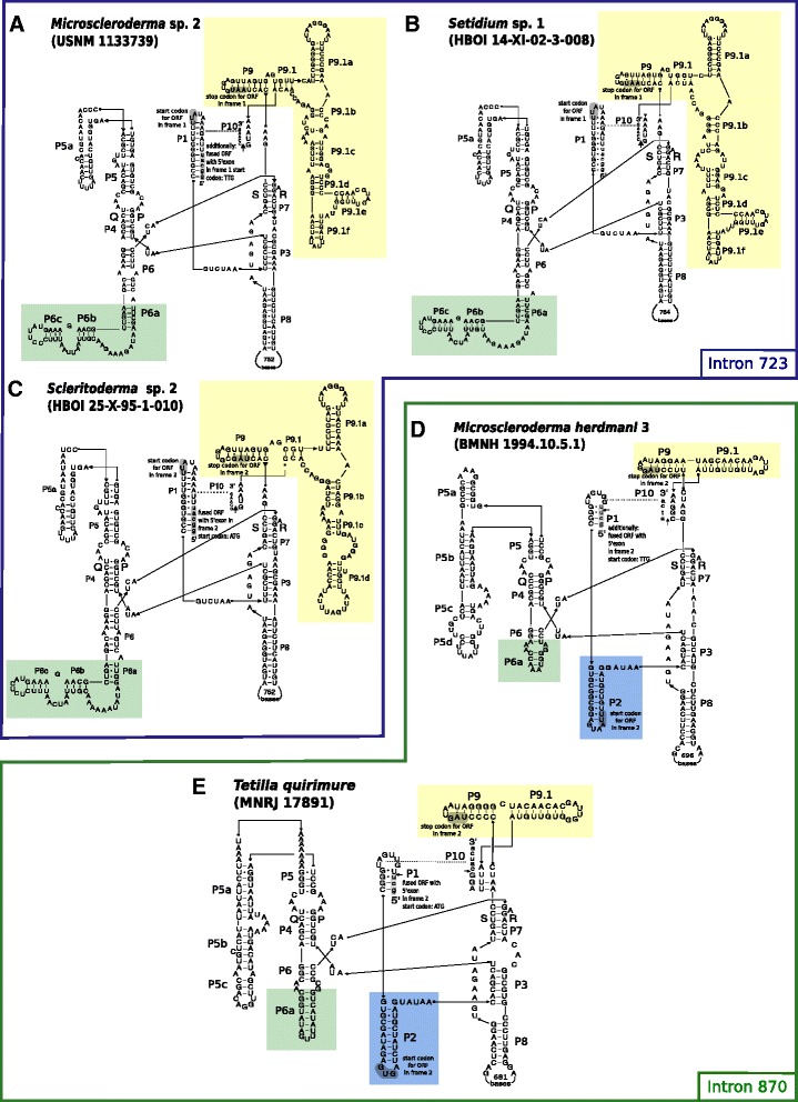 Fig. 6