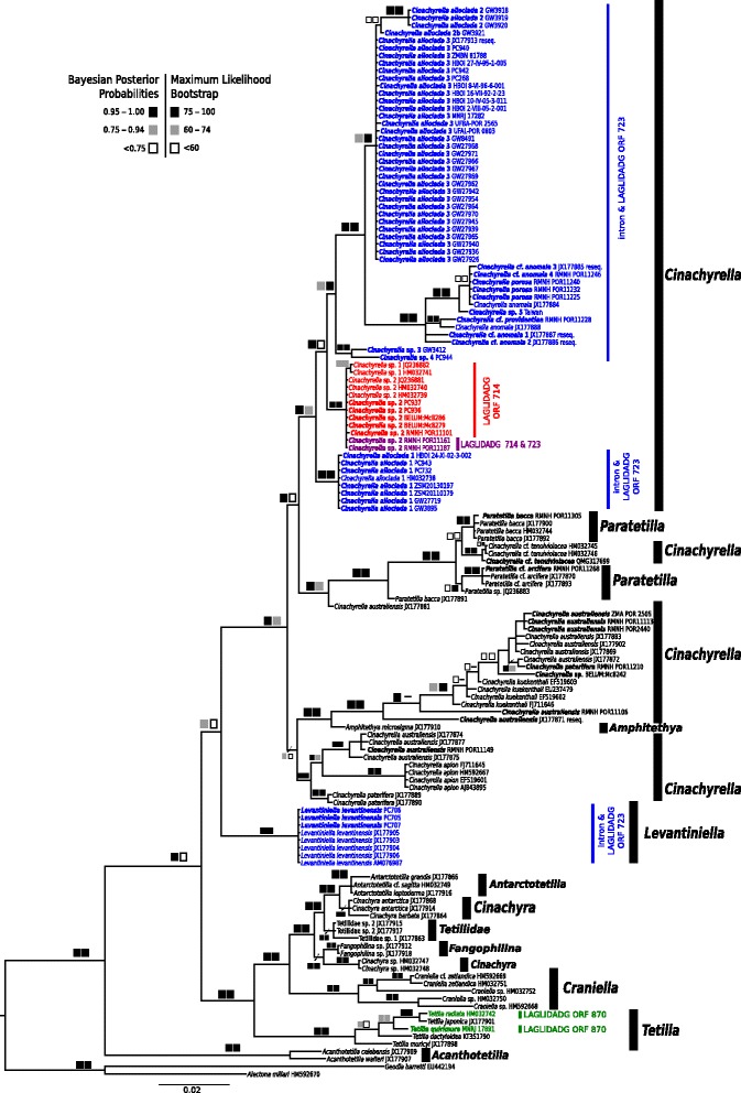 Fig. 3