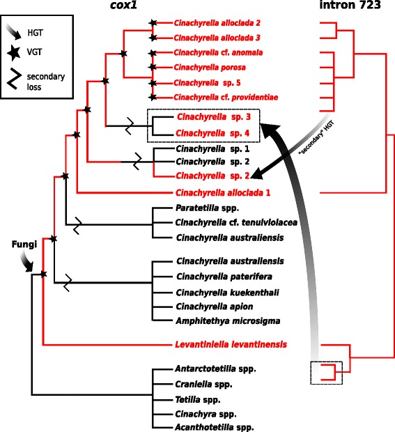 Fig. 9