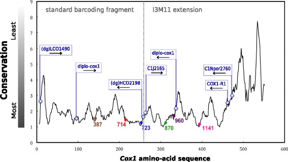 Fig. 8