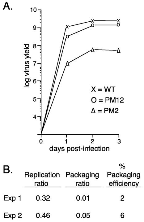 FIG. 2.