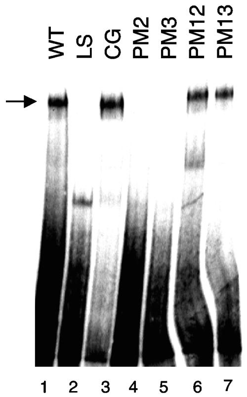 FIG. 6.