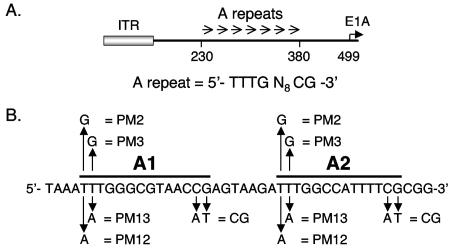 FIG. 1.