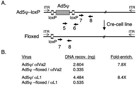 FIG. 4.