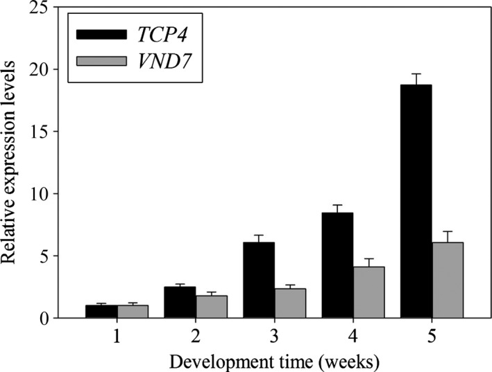 Figure 10