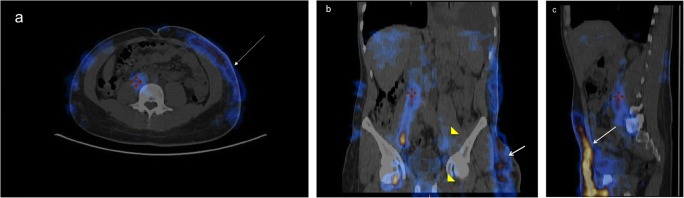 Fig. 4