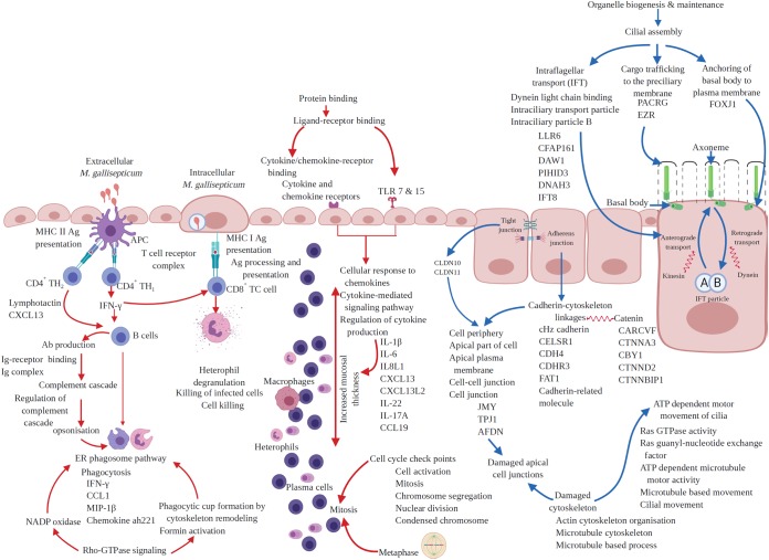 FIG 3