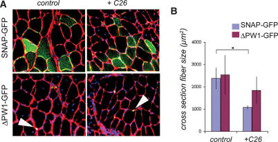 Figure 6.