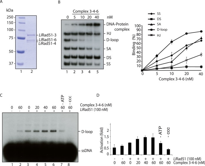 Figure 5.