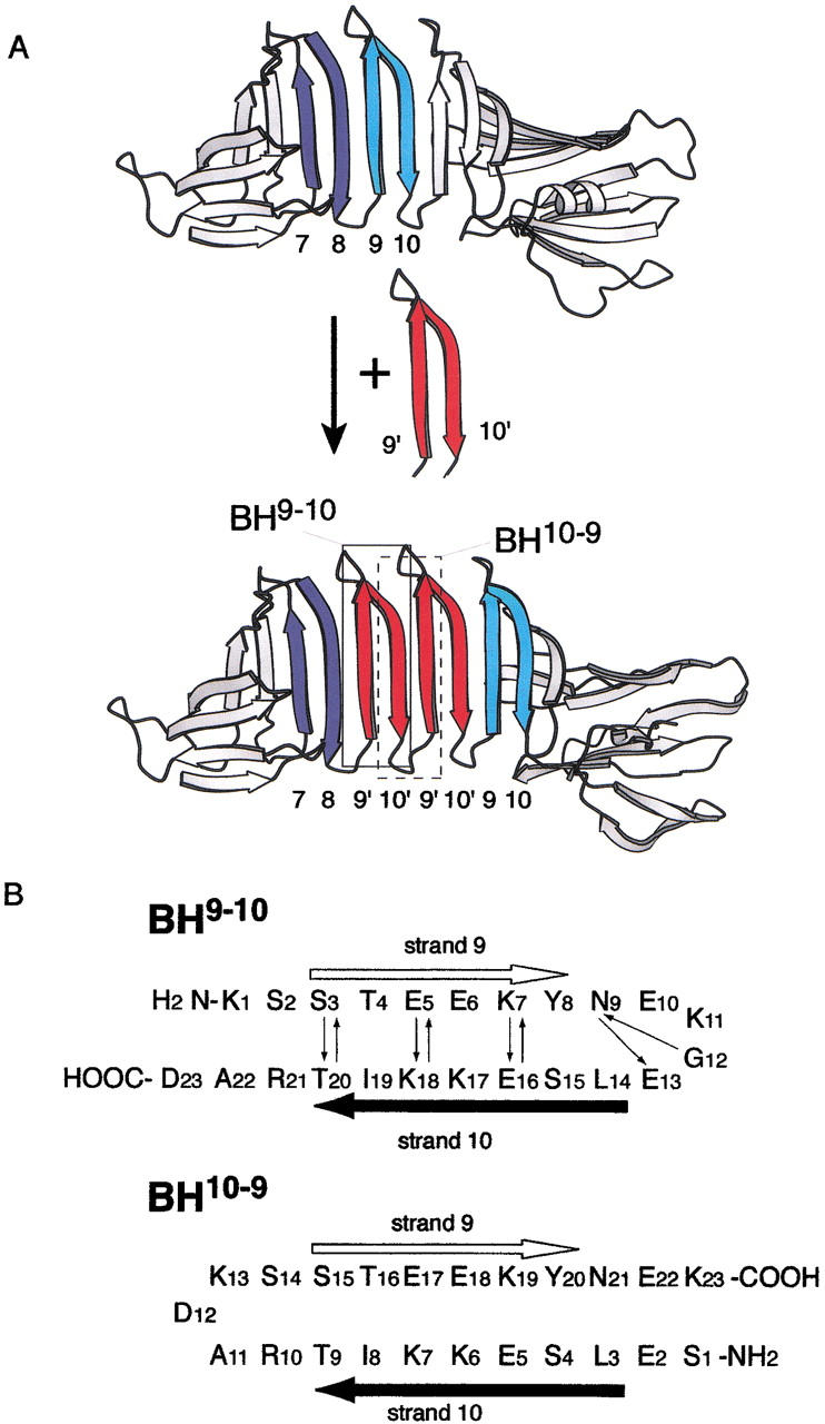 Fig. 1.