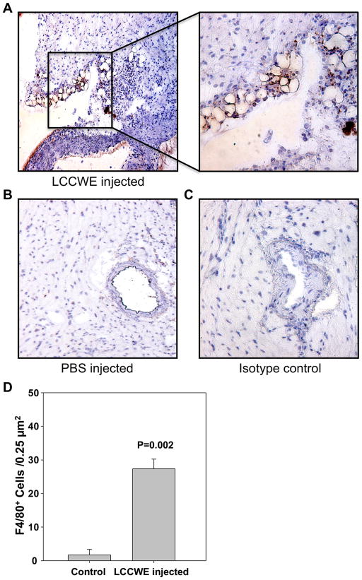 Fig 5