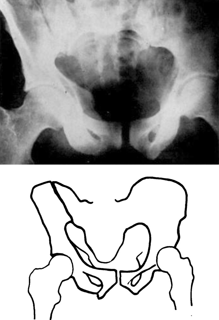 Fig. 7