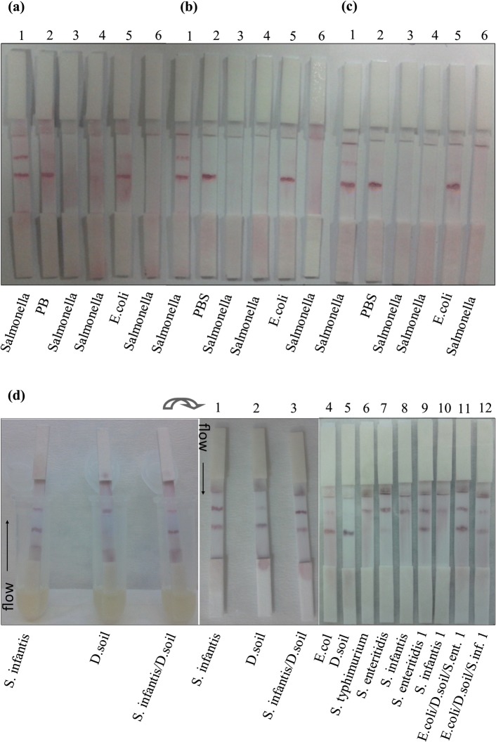 Fig. 1