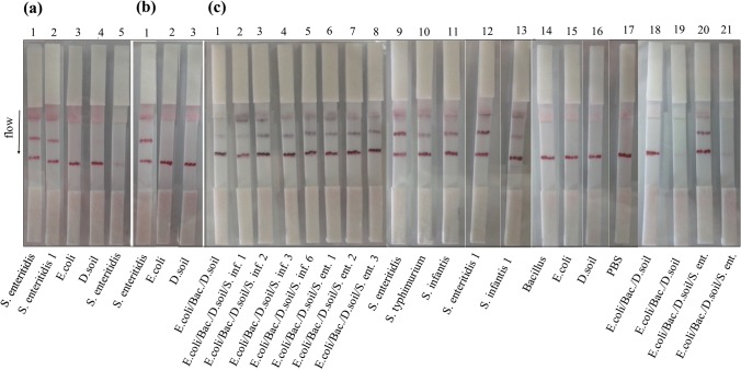 Fig. 2