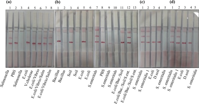 Fig. 3