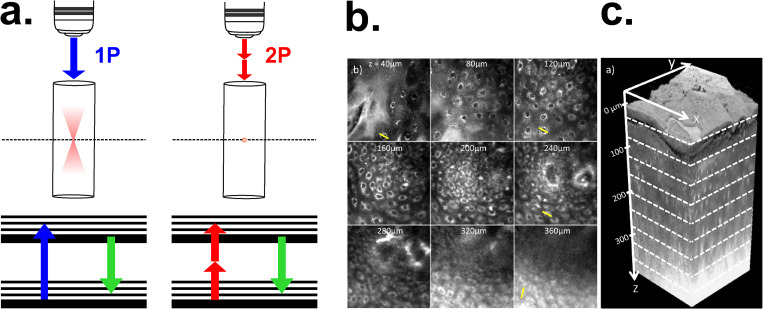 FIG. 13.