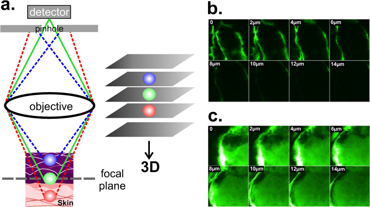 FIG. 11.