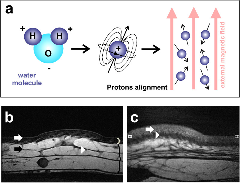 FIG. 10.