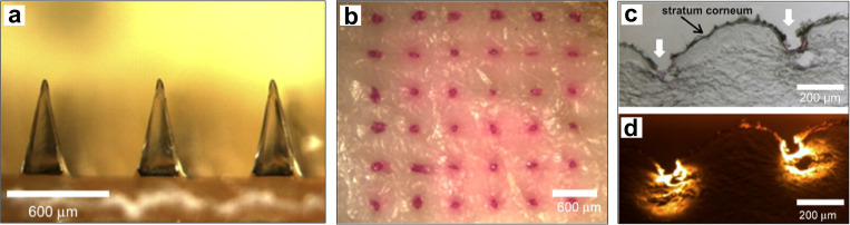 FIG. 22.