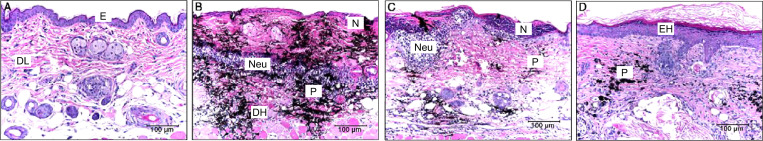 FIG. 23.