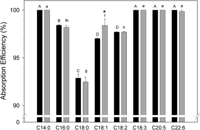 Fig.1.