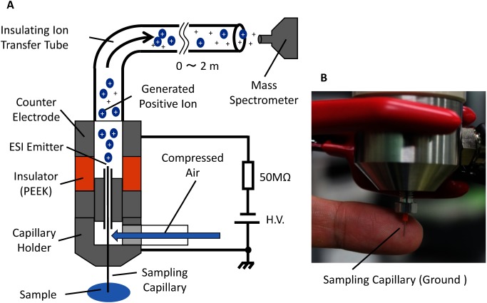 Fig. 1. (A) Schematic of the self-aspirated direct sampling ESI source. The sampling capillary is held at ground potential for the safety of the operator as well as for in-vivo and in-situ mass spectrometry. The electrospray is initiated by applying a high negative potential to the counter electrode for detection in the positive ion mode. The ions and charged droplets are transported to the inlet of the mass spectrometer by the carrier gas from an air compressor. (B) Photograph of the fabricated ion source.