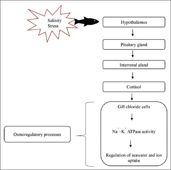 Figure-3