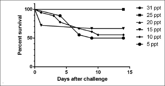 Figure-4