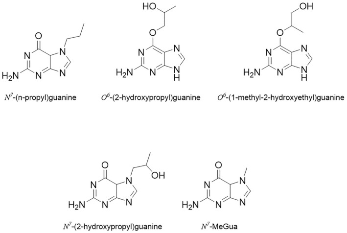 Figure 7