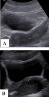Fig 4