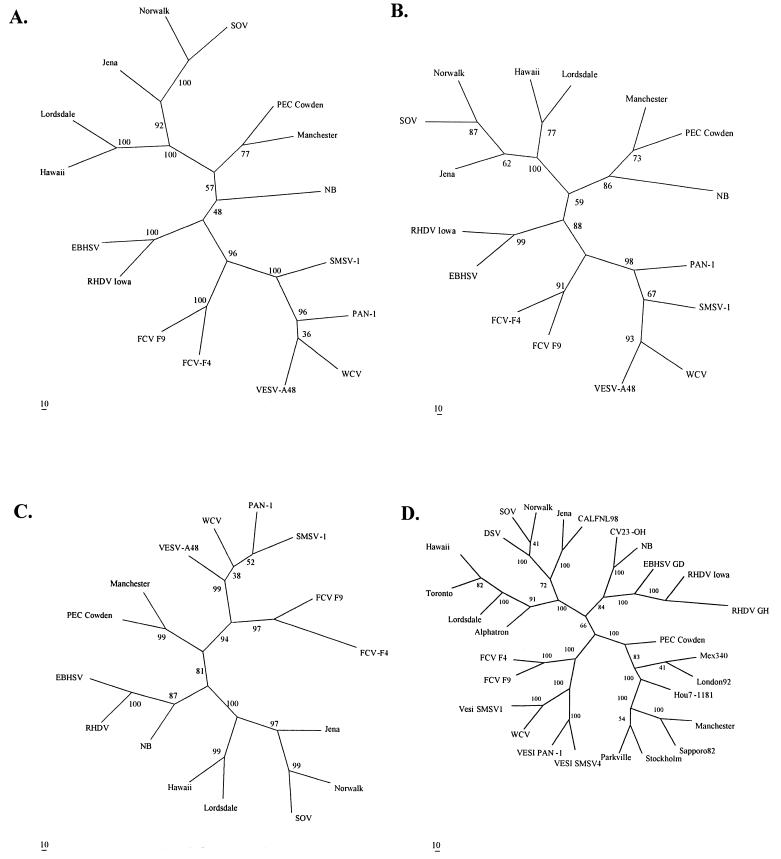 FIG. 2.