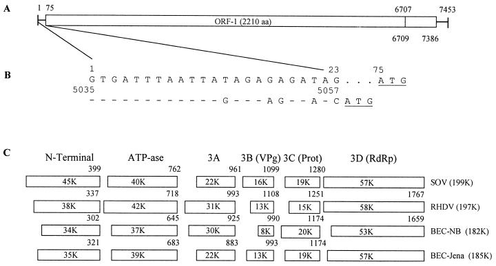 FIG. 1.