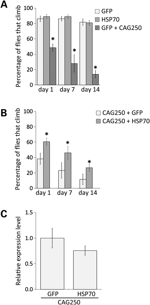 Figure 5.